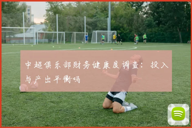 中超俱乐部财务健康度调查:投入与产出平衡吗