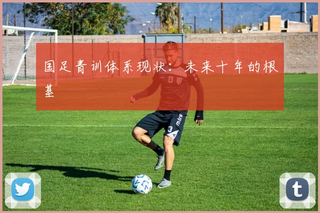 国足青训体系现状:未来十年的根基